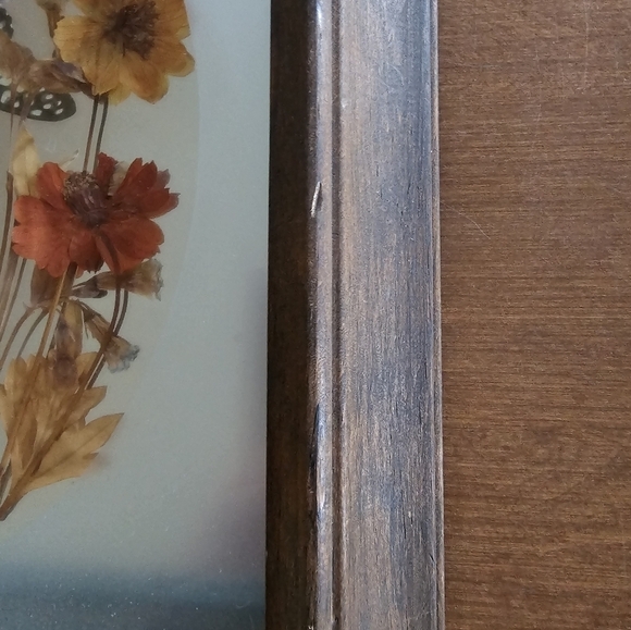 Vintage Butterfly Display - Picture 6 of 6